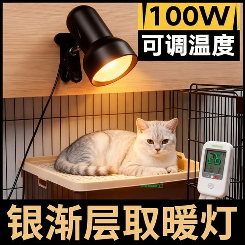 银渐层专用猫咪取暖灯恒温保温灯宠物暖灯小太阳刚出生小猫加热灯