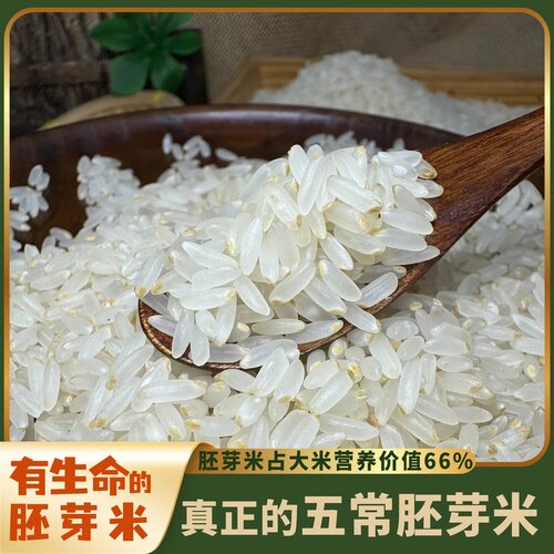 2025年五常稻花香2号胚芽米东北黑龙江现磨保留胚芽营养粥大米5斤