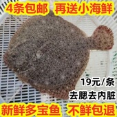 鲜活海鲜水产新鲜多宝鱼冷冻比目鱼海鱼鸦片鱼石斑鱼野生大多宝鱼