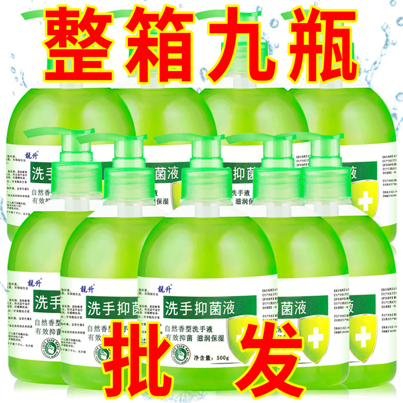 【整箱9瓶】龍升抑菌洗手液500g/瓶装泡沫清香型抑菌保湿清洁家用