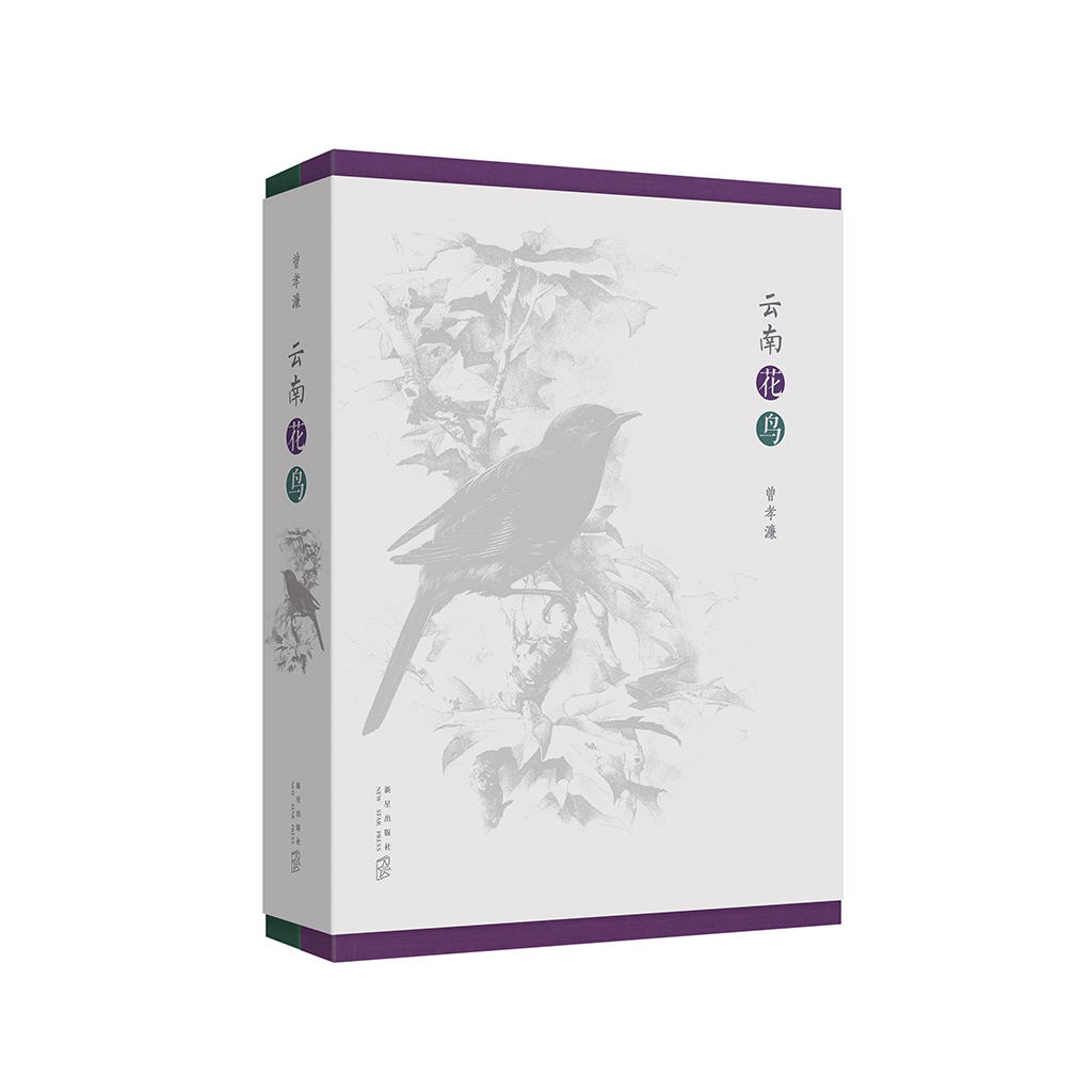 献给所有的博物爱好者，一双双渴望美的眼睛