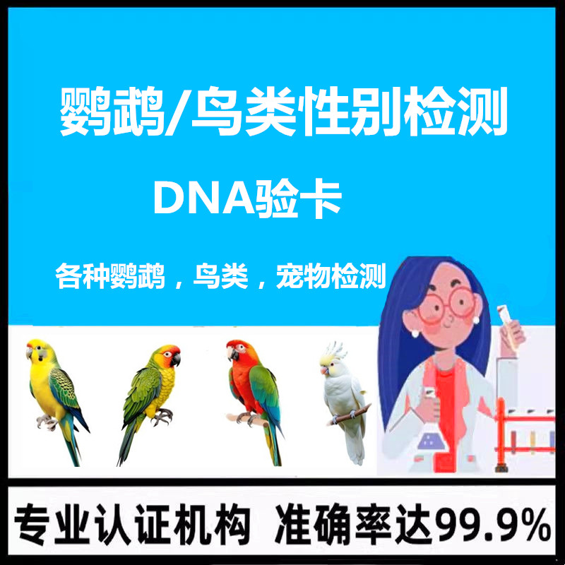 长恩鹦鹉验卡DNA公母鉴定玄凤牡丹性别检测鸽子鸟禽雏鸟检测无卡