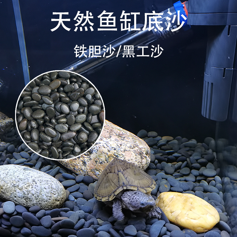 乌龟石装饰底黑棕沙鳖鱼缸造景