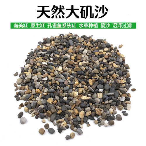七彩雷龙中性含铁胆大包邮鱼缸