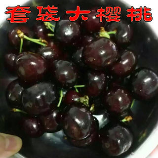 四川雅安汉源车厘子黑珍珠九襄套袋大樱桃现货特大果汶川4斤