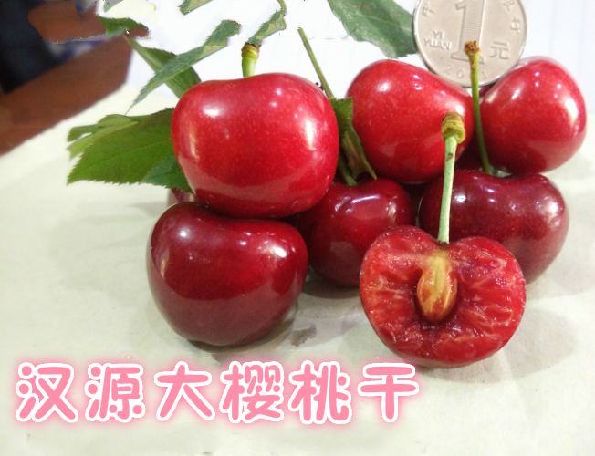 四川汉源大樱桃干 新纪无核孕妇蜜饯车厘子果脯水果干休闲零食