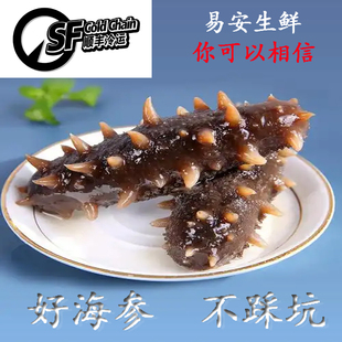 即食海参正宗大连刺参营养佳品假一罚十方便特价 速冻天然高品质