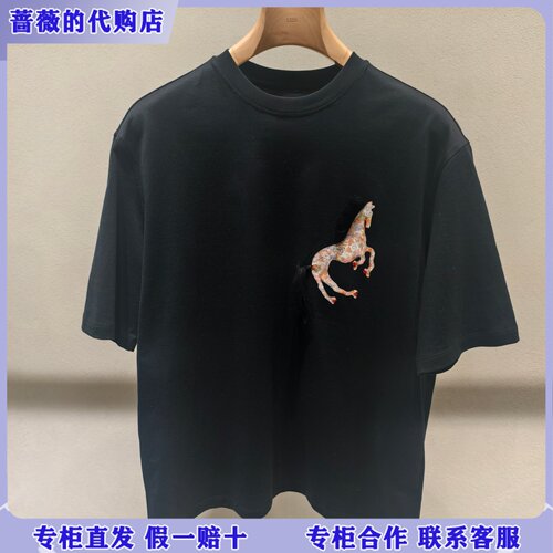 LESS国内专柜代购2026春新款长绒棉休闲圆领T恤2Q211525H-995