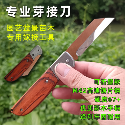 荣作折叠单刃高速钢嫁接刀硬度67