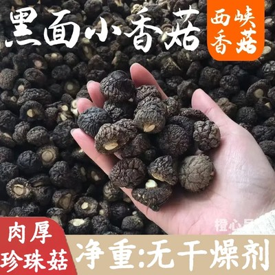 黑面珍珠菇香菇干货金钱菇超小珍珠菇干货小香菇浓香特嫩煲汤香菇