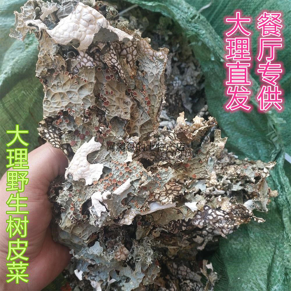 云南大理特产天然野生干货树皮菜野菜高原野生