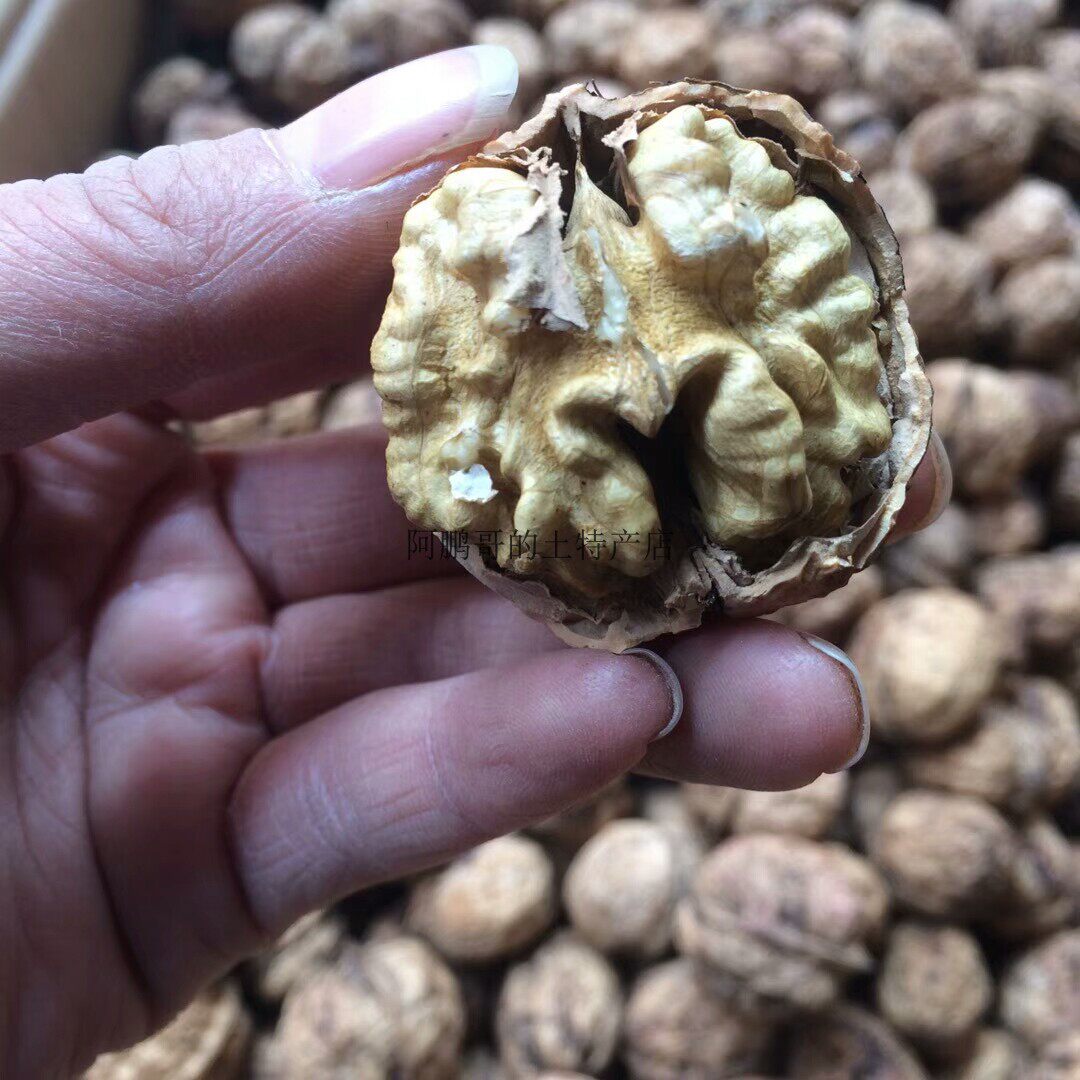 500克1斤云南大理漾濞核桃紫皮纸皮薄壳大仁山核桃农家自种