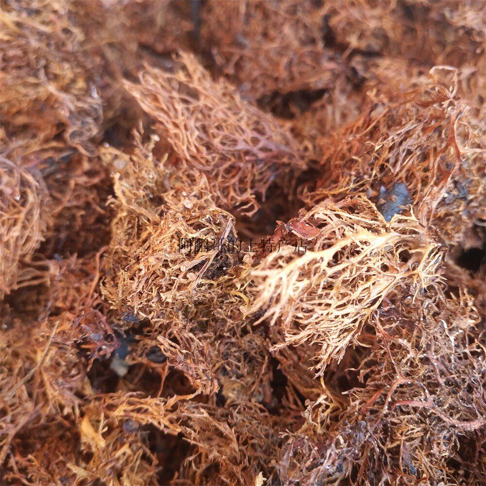 云南天然野生树花菜干货大理特产干树花菜/树胡子/龙须菜