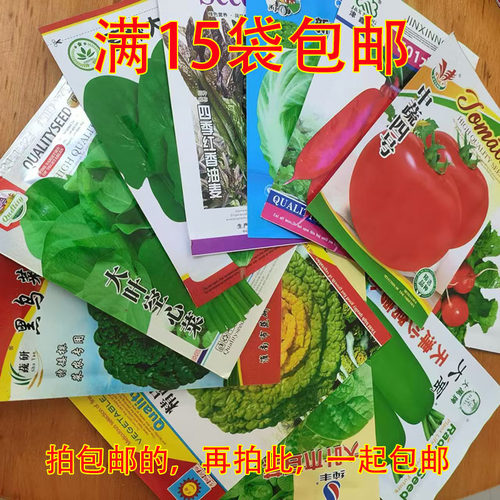 春季瓜果蔬菜种子辣椒茄子豇豆