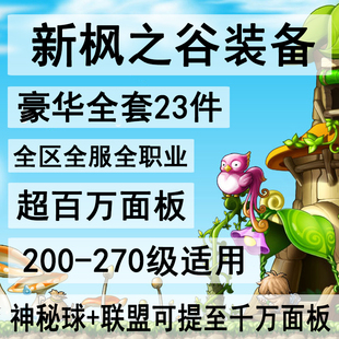 新枫之谷装备定制做练级套冒险岛台服tms装备link联盟过渡毕业套