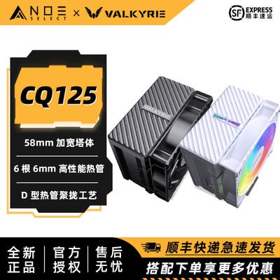 瓦尔基里CQ1256热管风冷散热器