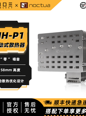 诺易 Noctua 猫头鹰 NH-P1 被动式无风扇静音cpu散热器可添A12x25