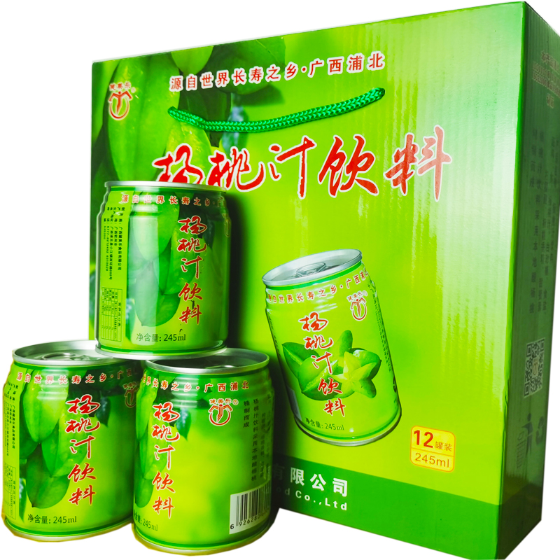 健美乐杨桃汁酸甜饮品245