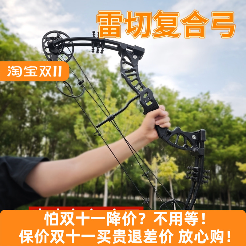 复合弓青少年专用套装初学者
