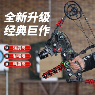 黑鹰两用复合弓箭打钢珠高精准射箭专用户外射击弓箭非恶棍拓路