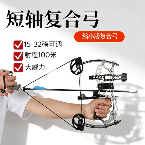 迷你复合弓夜视套装射程100米
