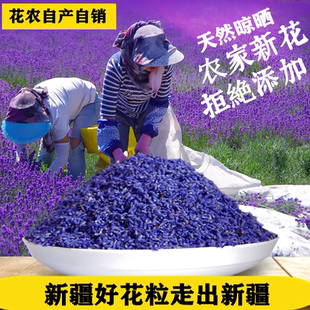 新疆天然薰衣草干花粒散装衣柜除味香薰汽车香包香袋枕头安神助眠