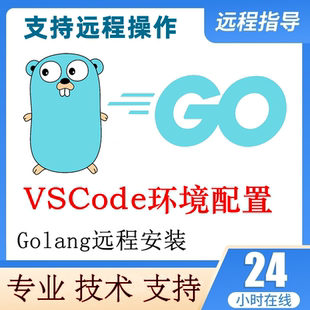 golang远程安装go语言vscode环境配置远程安装调试go环境