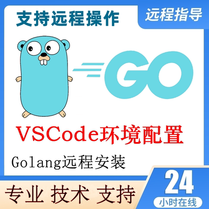 golang远程安装go语言vscode环境配置远程安装调试go环境