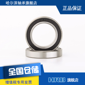 61907-2RZ 6907 2LS 哈尔滨轴承深沟球 内径35mm外径55mm
