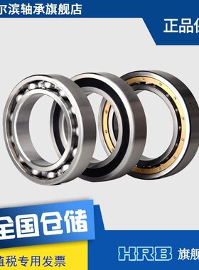 HRB 6040  2Z  哈尔滨深沟球单列轴承（限量大促）