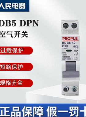 人民电器DPN小型断路器RDB5-40家用空气开关双联16A-40A多电流