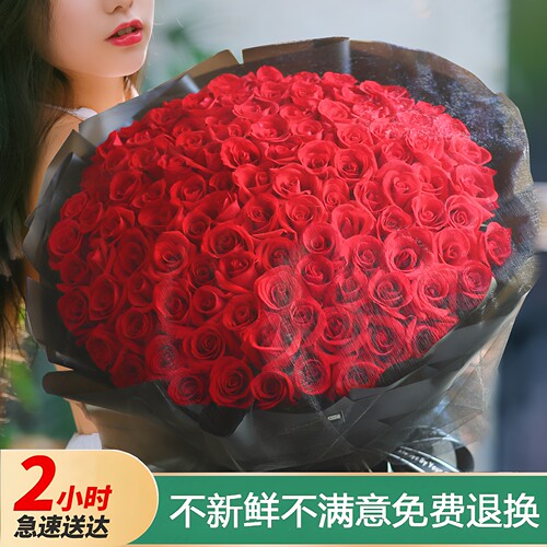 红玫瑰花束送女友鲜花速递99朵