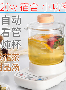 办公室小功率玻璃养生壶全自动煮茶器甜品花茶文火慢炖小型加热器
