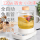 办公室小功率玻璃养生壶全自动煮茶器甜品花茶文火慢炖小型加热器