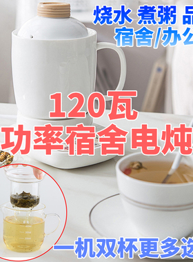 宿舍小功率多用途电炖杯