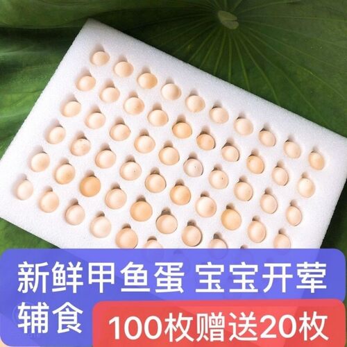 【100枚送20枚】农家新鲜食用甲鱼蛋宝宝辅食营养美味老鳖乌龟蛋