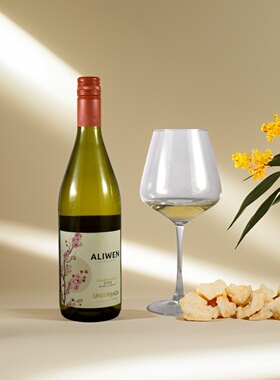 安朵瑞嘉Aliwen神树霞多丽白葡萄酒 智利原瓶进口undurraga 2022