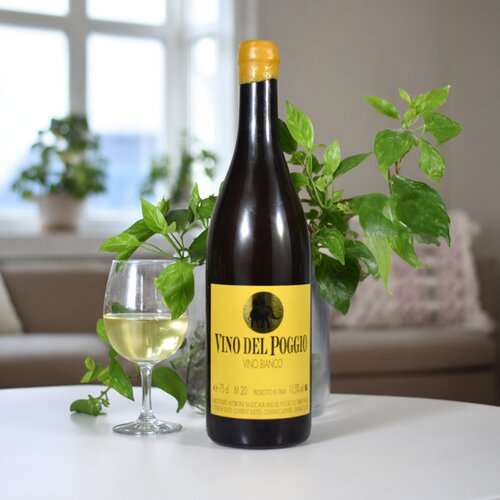 意大利进口大象自然酒干白葡萄酒