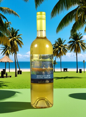 智利原瓶圣丽塔国家画廊珍藏莫斯卡托Moscato2019甜白葡萄酒95