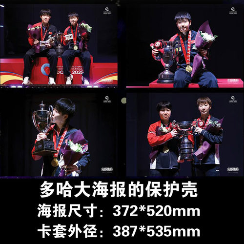 中体多哈海报保护套莎莎海报