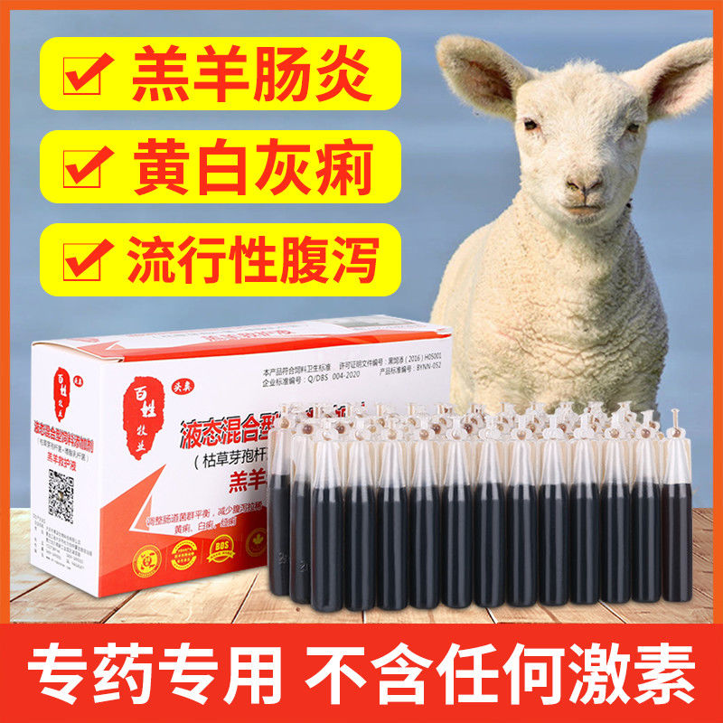羔羊救命液兽用杨树花小羊拉稀