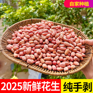 包邮 新货不带壳 2025新鲜大颗粒粉皮特级当季 山东纯手剥花生米生