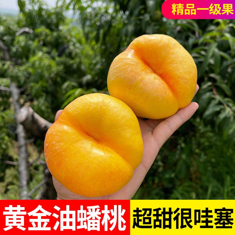 蒙阴黄金油蟠桃新鲜水果当季整箱扁桃脆甜黄油蟠桃黄心彩虹蟠桃
