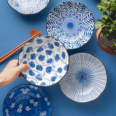 日式进口美浓烧陶瓷创意餐盘