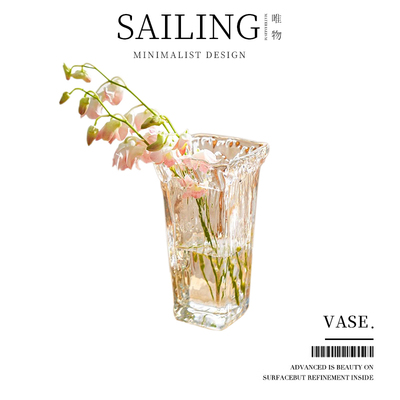 Sailing花瓶轻奢高级感玻璃透明水养插花水培器皿客厅餐桌摆件