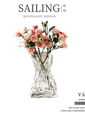 Sailing不规则创意玻璃小花瓶精致轻奢家居摆件客厅插花器透明