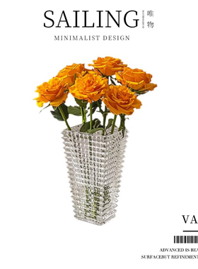 Sailing轻奢创意花瓶摆件客厅水养插花瓶玻璃透明花器高级感家用