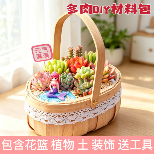 多肉植物组合盆栽含花篮含土桌面绿植花卉室内创意肉肉DIY套餐