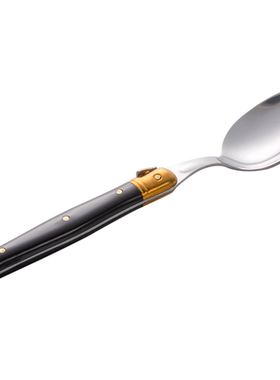 法国André Verdier DEBUTANT黄铜黑色 正餐勺西餐勺子高颜值21cm
