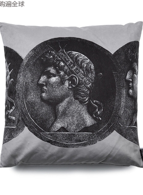 英国ARLEY HOUSE创意鸭绒枕芯靠枕抱枕Timney Fowler浮雕纪念章